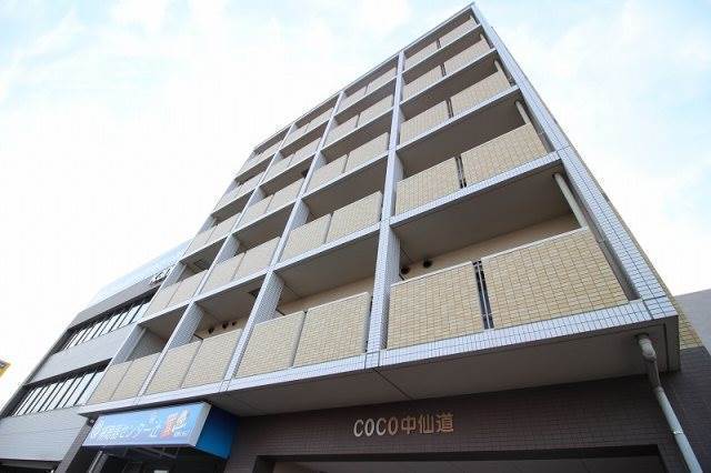 COCO中仙道